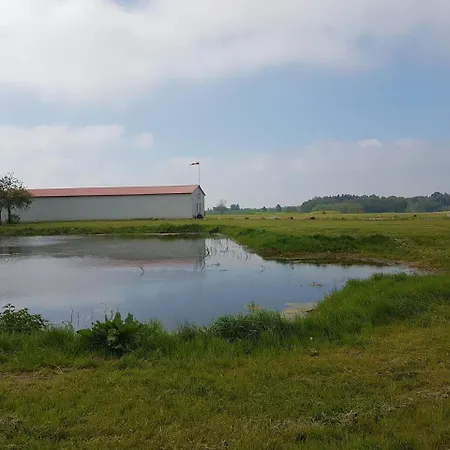 Kikity Siedlisko Z Ladowiskiem Kolno (Warmian-Masurian)